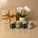 Golden Snack Collection - Figi & Daktyle