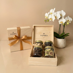 Golden Snack Collection - Figs & Dates